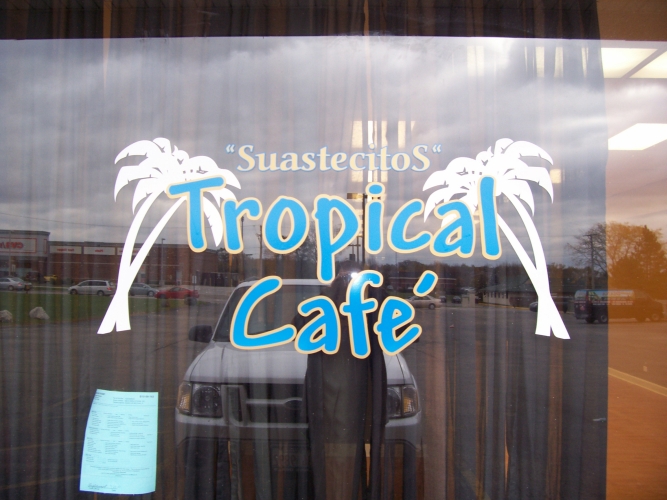 Vinyl Graphics